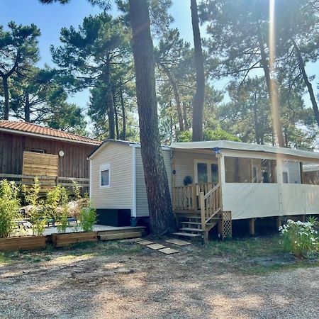 La Cabane Des Pins Lège-Cap-Ferret Dış mekan fotoğraf