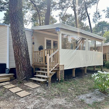 La Cabane Des Pins Lège-Cap-Ferret Dış mekan fotoğraf