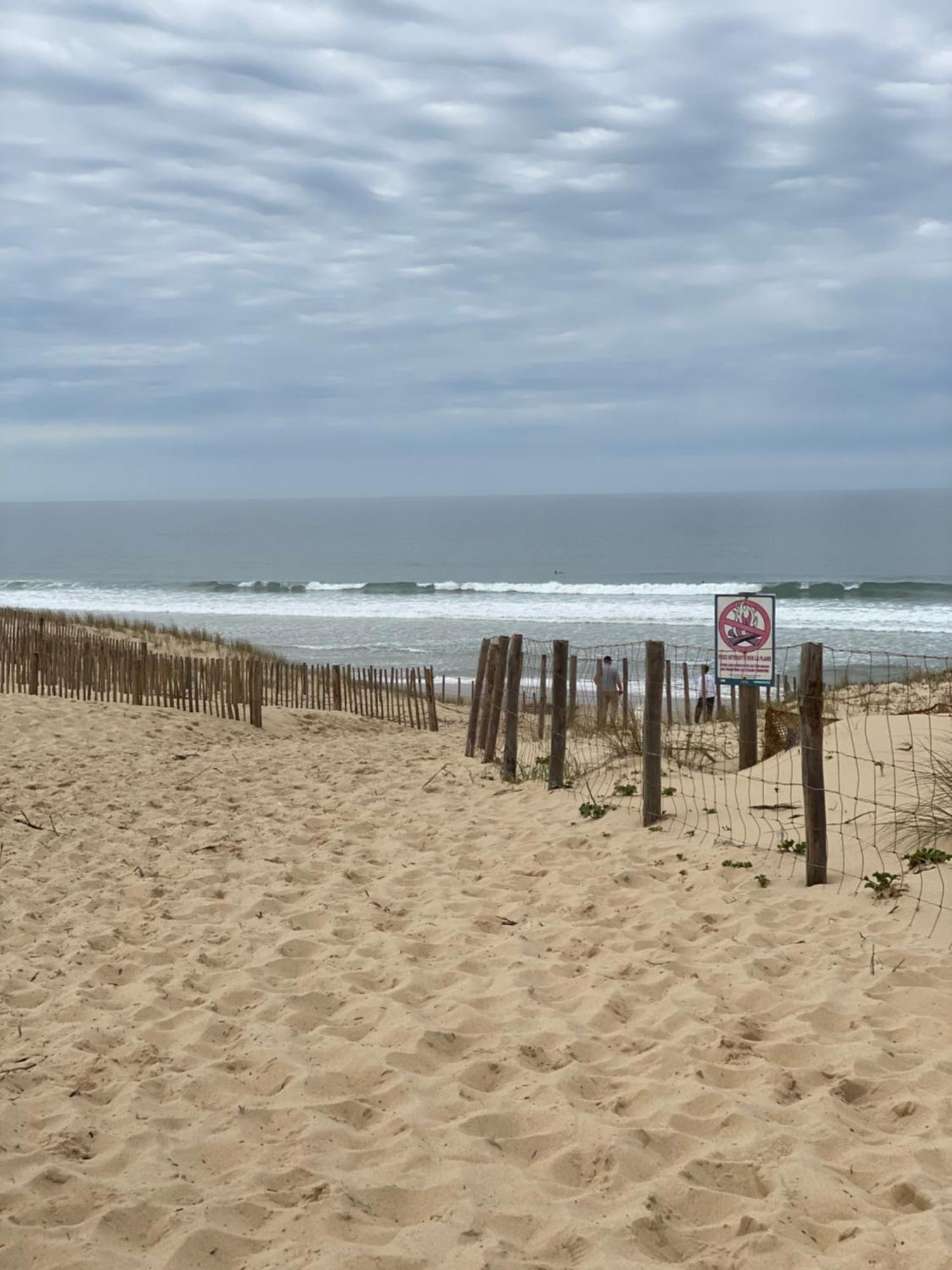 La Cabane Des Pins Lège-Cap-Ferret Dış mekan fotoğraf