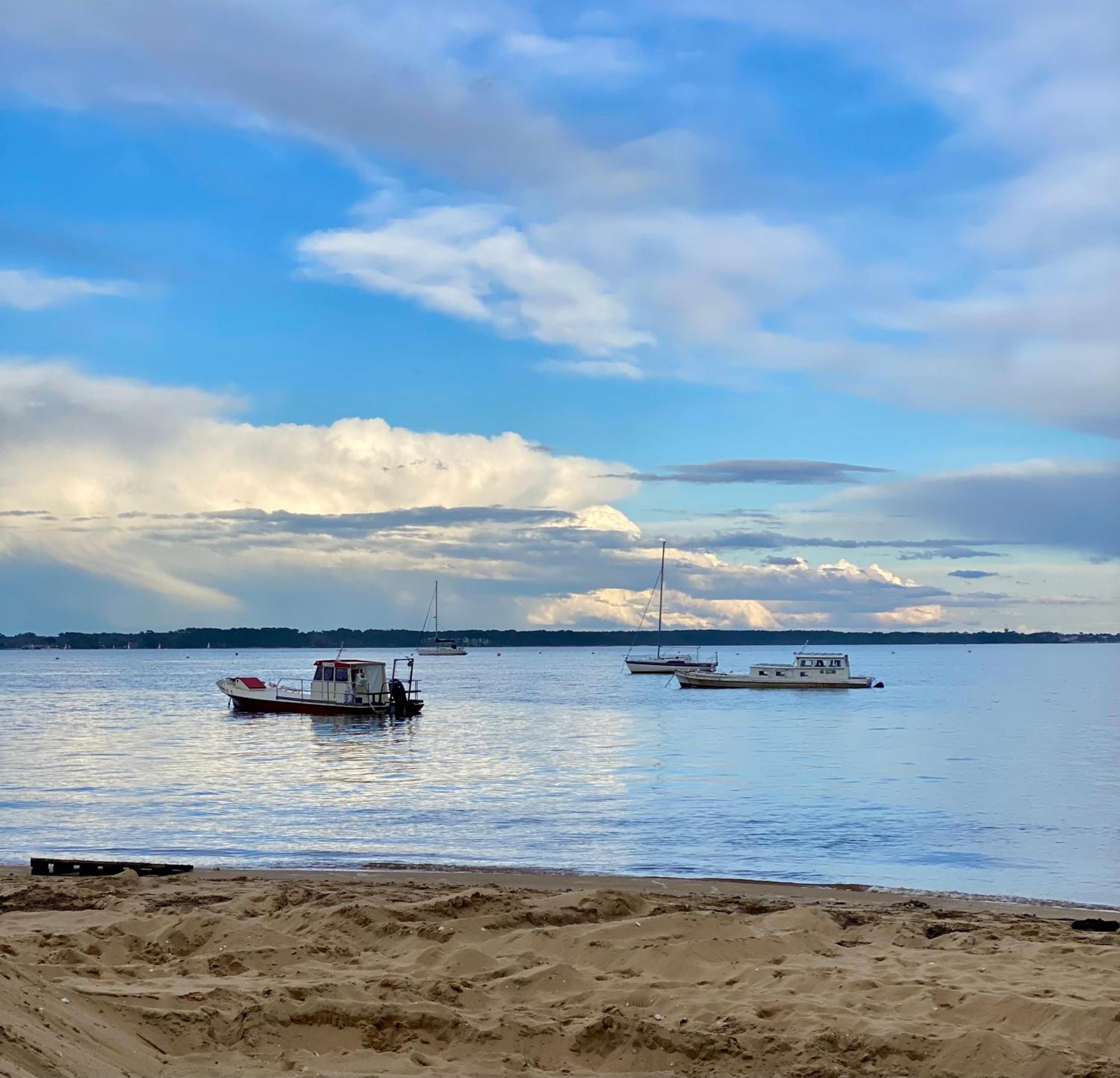 La Cabane Des Pins Lège-Cap-Ferret Dış mekan fotoğraf