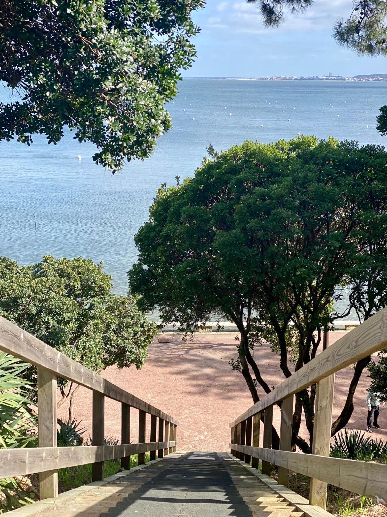 La Cabane Des Pins Lège-Cap-Ferret Dış mekan fotoğraf