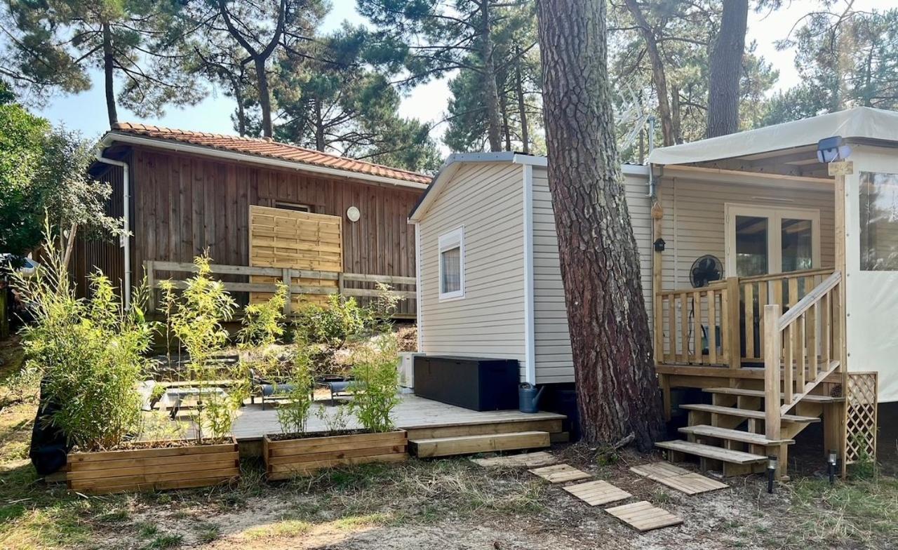 La Cabane Des Pins Lège-Cap-Ferret Dış mekan fotoğraf