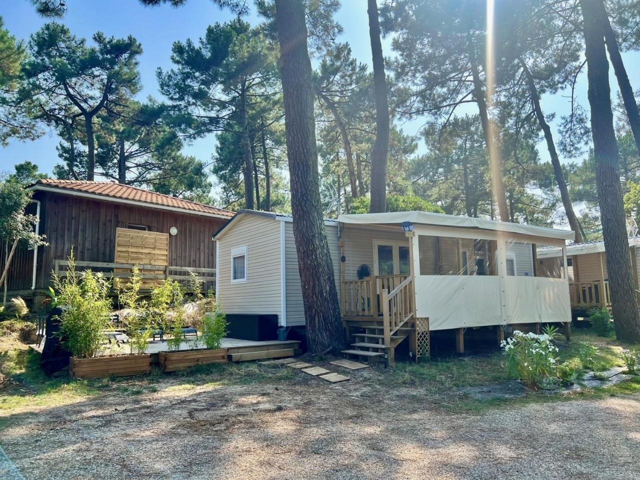 La Cabane Des Pins Lège-Cap-Ferret Dış mekan fotoğraf