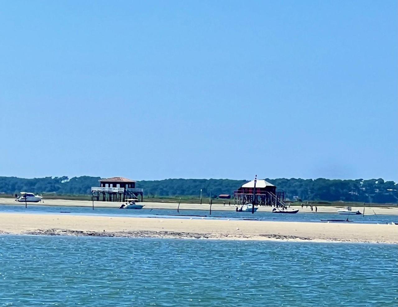 La Cabane Des Pins Lège-Cap-Ferret Dış mekan fotoğraf